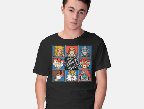 Thundercats Bunch