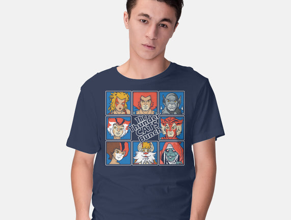 Thundercats Bunch