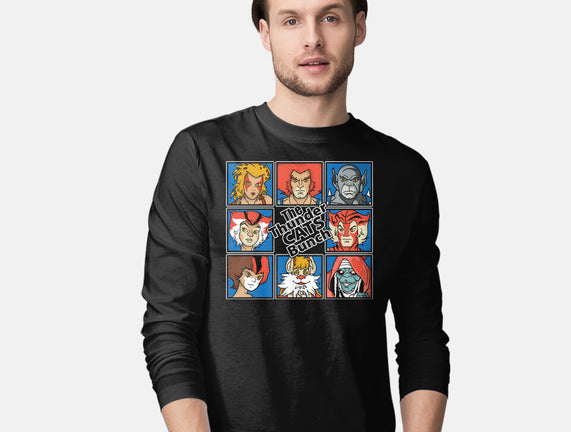Thundercats Bunch