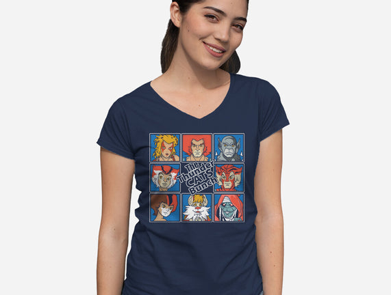 Thundercats Bunch