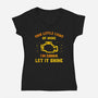 Let It Shine-Womens-V-Neck-Tee-kg07