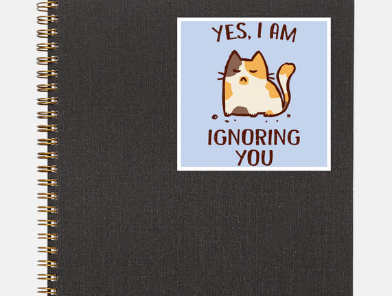 I Am Ignoring You