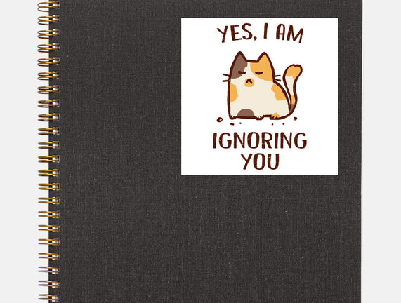 I Am Ignoring You