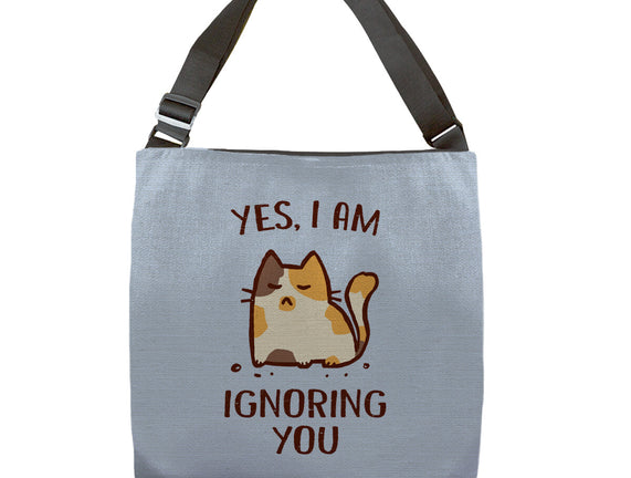 I Am Ignoring You