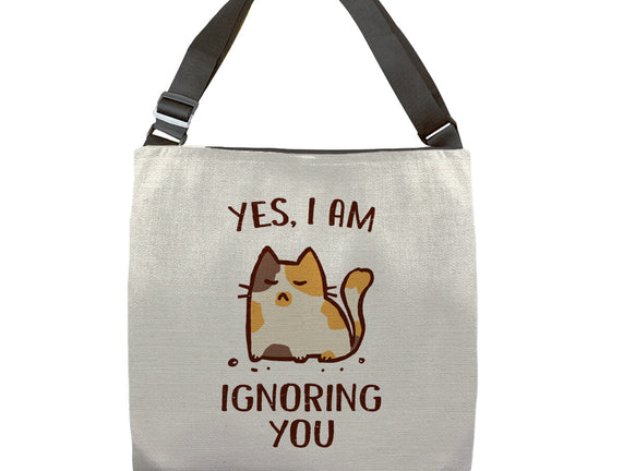 I Am Ignoring You