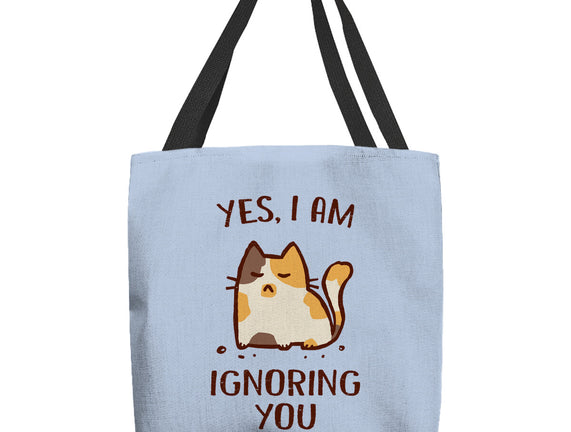 I Am Ignoring You
