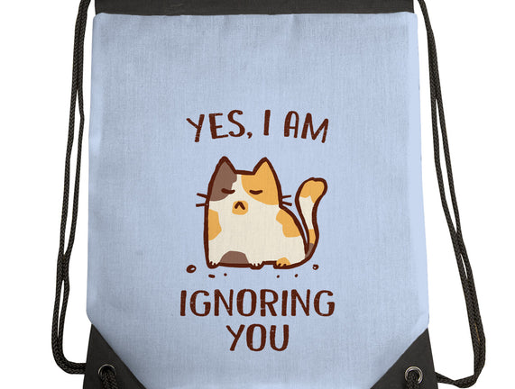 I Am Ignoring You