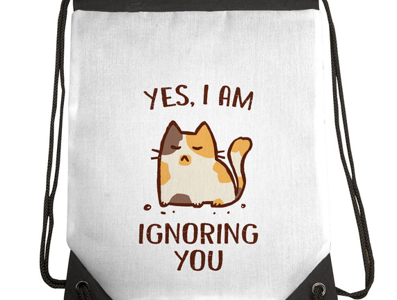 I Am Ignoring You