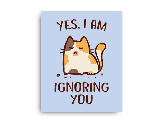I Am Ignoring You