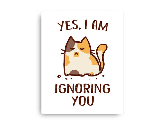 I Am Ignoring You