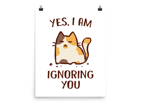 I Am Ignoring You
