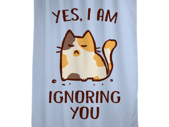 I Am Ignoring You