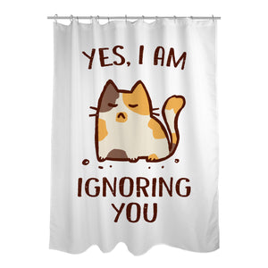 I Am Ignoring You