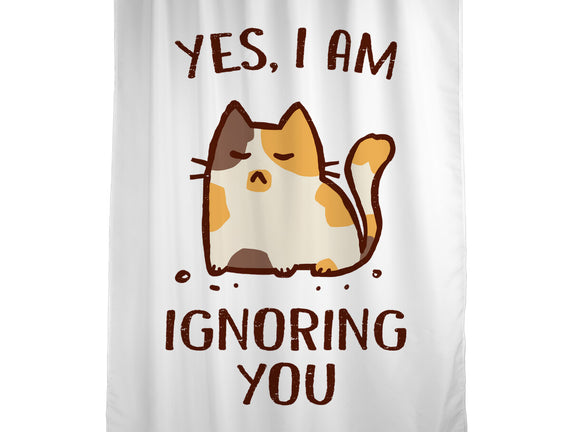 I Am Ignoring You
