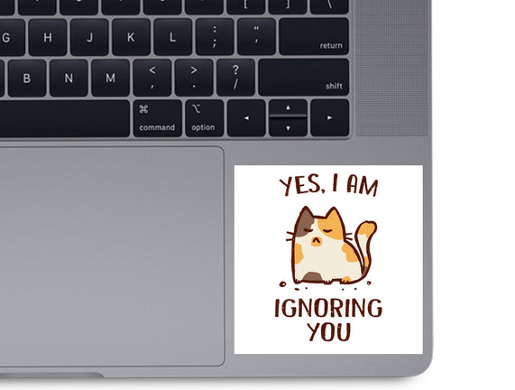 I Am Ignoring You