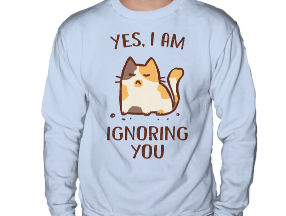 I Am Ignoring You