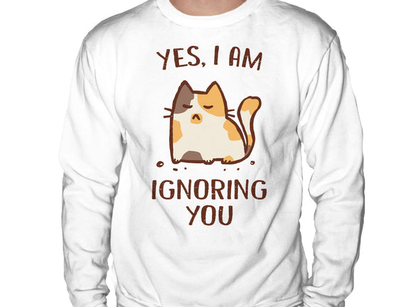 I Am Ignoring You