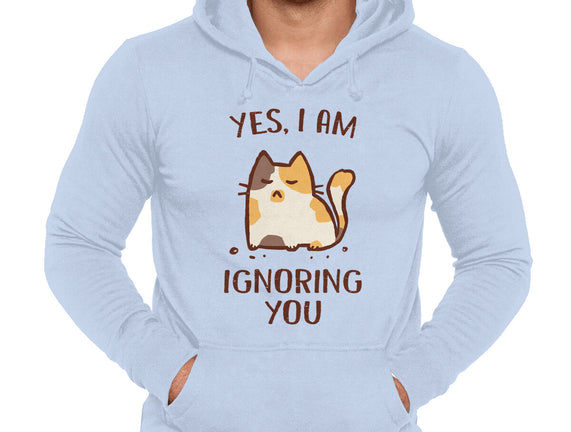 I Am Ignoring You