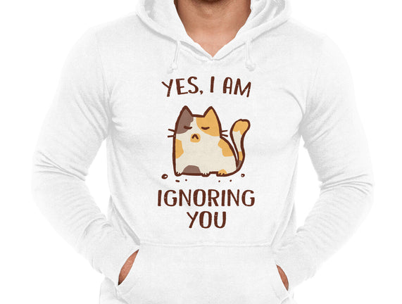 I Am Ignoring You