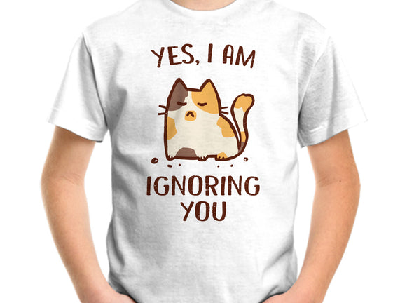 I Am Ignoring You