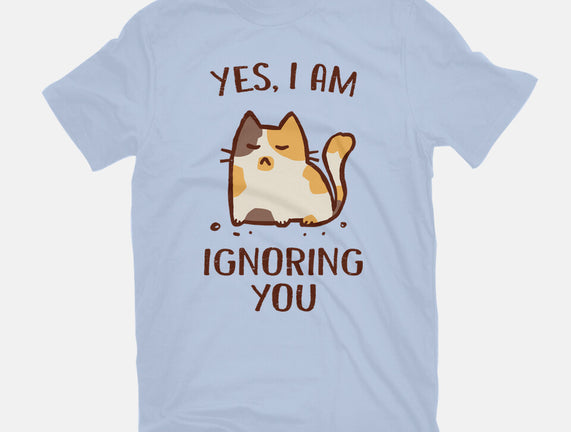 I Am Ignoring You