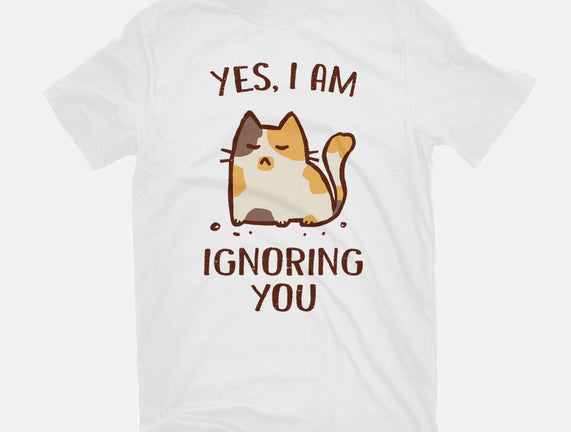 I Am Ignoring You