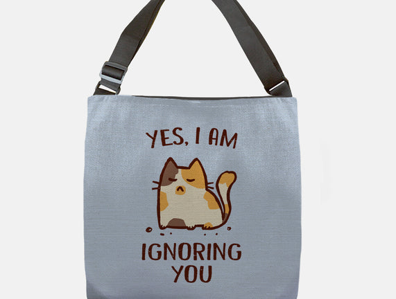 I Am Ignoring You
