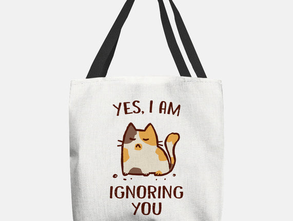 I Am Ignoring You