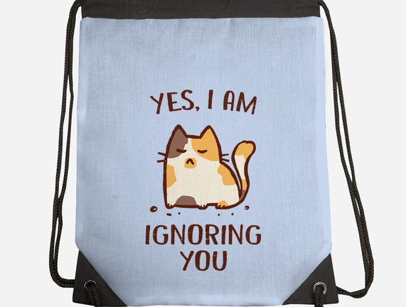 I Am Ignoring You