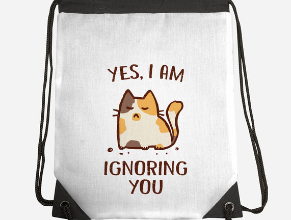 I Am Ignoring You