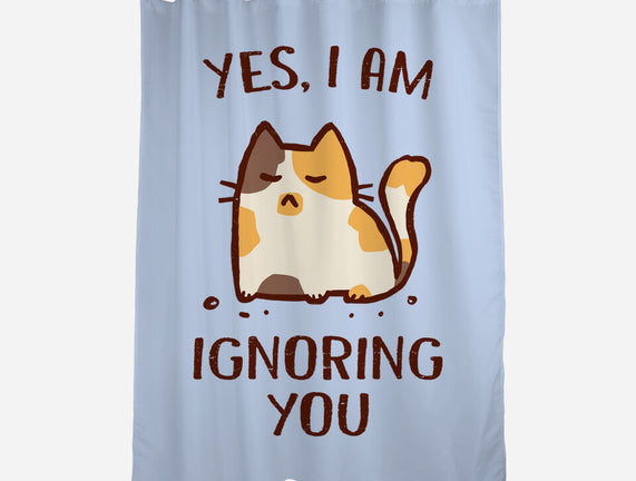 I Am Ignoring You