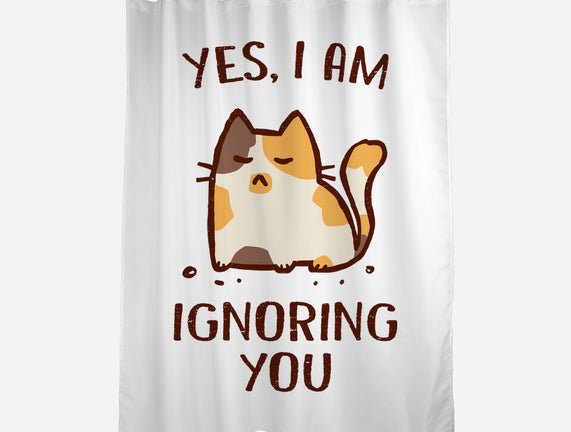 I Am Ignoring You