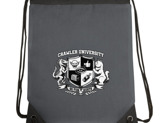 Dungeon Crawler University