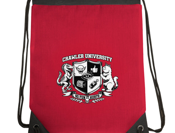 Dungeon Crawler University