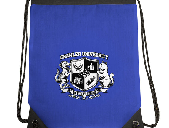 Dungeon Crawler University