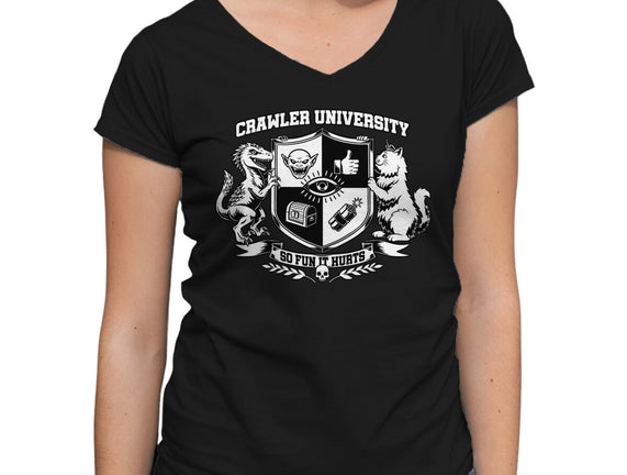 Dungeon Crawler University