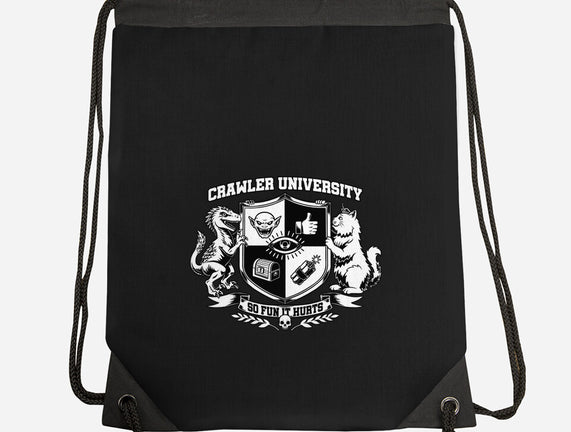 Dungeon Crawler University