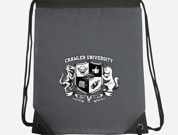 Dungeon Crawler University