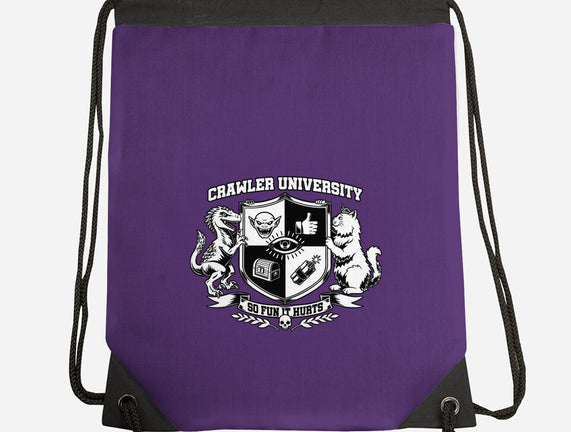 Dungeon Crawler University