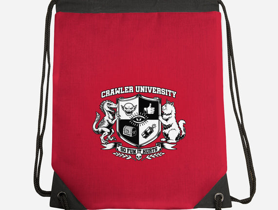 Dungeon Crawler University