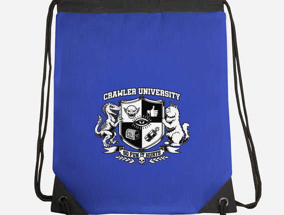 Dungeon Crawler University