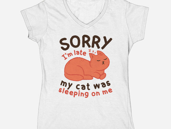 My Cat Was Sleeping On Me