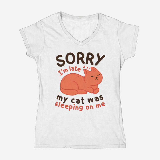 My Cat Was Sleeping On Me-Womens-V-Neck-Tee-brunopires