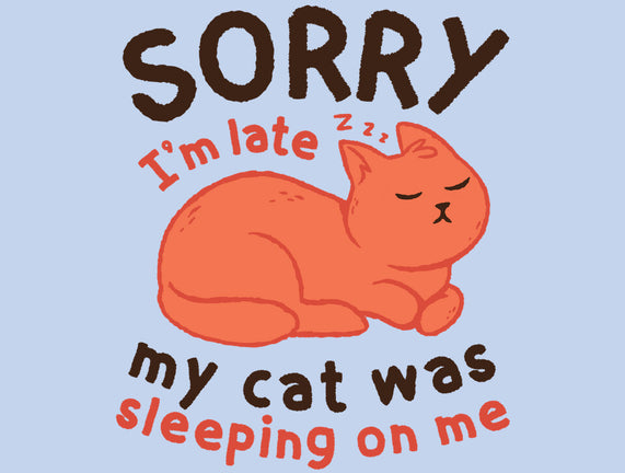 My Cat Was Sleeping On Me