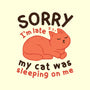 My Cat Was Sleeping On Me-Mens-Premium-Tee-brunopires