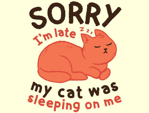 My Cat Was Sleeping On Me