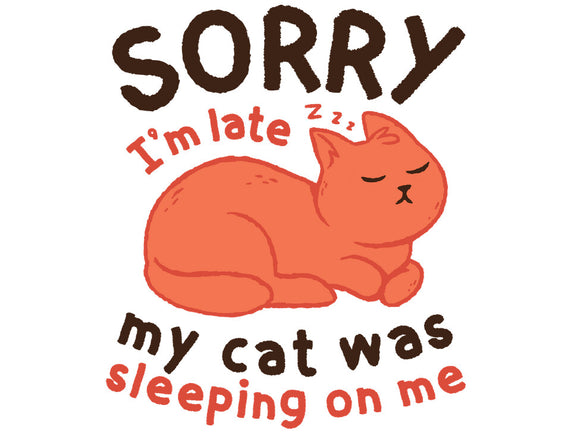 My Cat Was Sleeping On Me
