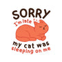 My Cat Was Sleeping On Me-Unisex-Baseball-Tee-brunopires