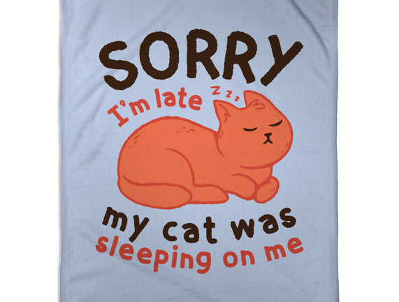 My Cat Was Sleeping On Me