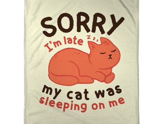 My Cat Was Sleeping On Me
